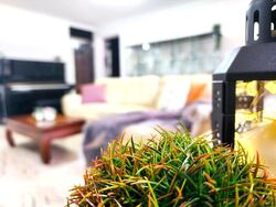 Blk 110 Bishan View (Bishan), HDB 4 Rooms #529221611